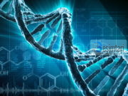Burimi i të dhënave jetësore – STRUKTURA SEKRETE E ADN-SË
