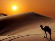 Fshatari në shkretëtirë