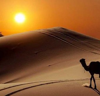 Fshatari në shkretëtirë