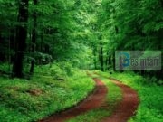 Meshkujt fitojnë hyri në Xhenet, po çfarë fitojmë ne gratë?