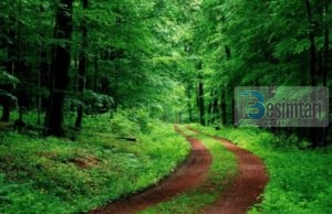 Meshkujt fitojnë hyri në Xhenet, po çfarë fitojmë ne gratë?