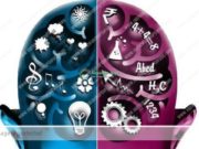 Parandaloni Dëmtimin e Trurit – Mjekesia Bimore Arabe