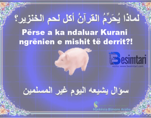 Mishi i Derrit – Përse e ka ndaluar Kurani ngrënien e mishit të derrit ?!