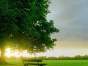 I Pasuri (EL GANIJ) | Mjeksia Islame