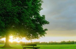 I Pasuri (EL GANIJ) | Mjeksia Islame