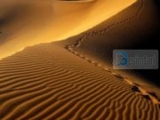 Çka ndodhi me Bilalin pas vdekjes së Pejgamberit ajehi selam ?!