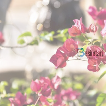 17 ateistët dhe Imam Shafiu