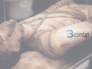 Misteret e mumies së faraonit