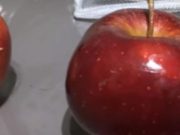 Bëni kujdes nga kjo lloj molle, mund të bëhet burim sëmundjeje