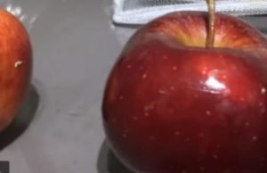 Bëni kujdes nga kjo lloj molle, mund të bëhet burim sëmundjeje