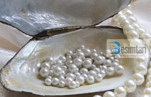 Margaritarë të urtësisë