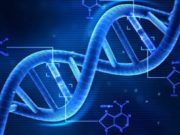 Vëllimet e informatave në Qelizën Njerëzore