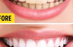 4 vajrat bimorë që do të transformojnë trupin tuaj brenda një muaji