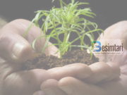 Si ta falenderosh Allahun kur Ai të jep begati