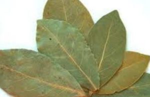 Keshille per zbardhjen e dhembeve