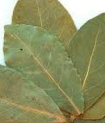 Keshille per zbardhjen e dhembeve