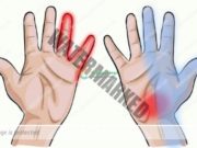 14 gjëra që thonë duart për shëndetin – Mjekesia Bimore Arabe