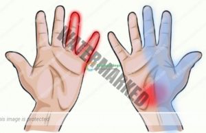 14 gjëra që thonë duart për shëndetin – Mjekesia Bimore Arabe