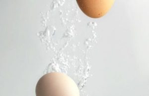 Përmes kësaj metode, zbuloni se sa të freskëta janë vezët