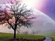 Nëse e shoh ndonjë ëndërr të mirë cka të bëj?