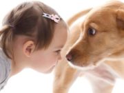 Arsyeja përse nuk duhet ta lini kurrë qenin t’ju lëpijë në fytyrë