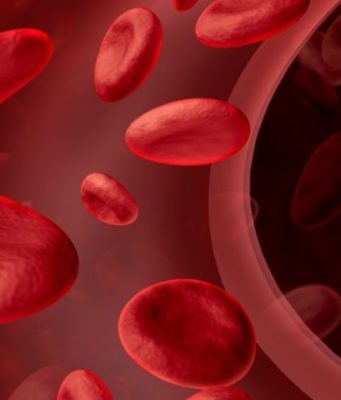 Sëmundjet e trashëguara të gjakut