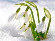 Shikoji të tjerët që janë më keq se ti