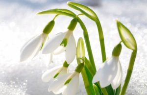 Shikoji të tjerët që janë më keq se ti