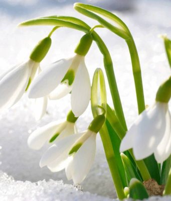 Shikoji të tjerët që janë më keq se ti