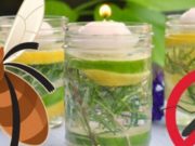 Si të përgatisni në shtëpi ilaçin natyral jo toksik kundër mushkonjave