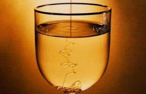 Nuk krahasohet asnje pije me pijen profetike e thjeshte dhe shume e dobishme