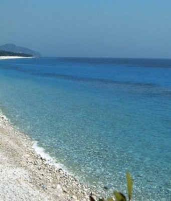 Shkuarja në plazh e ndryshonë trurin në mënyrë të pabesueshme