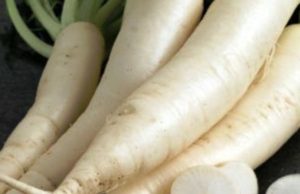 Rrepa e bardhë dhe vetitë shërues