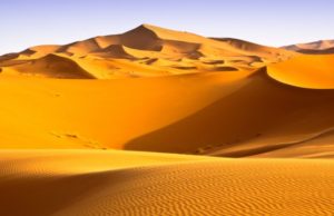 THATËSIRA E MADHE NË KOHËN E MUSAIT A.S.