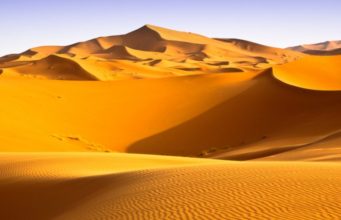 Përse ka ndodhur vrasja e parë në historinë e njerëzimit?