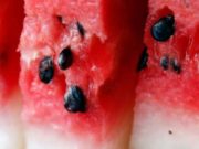 Ja kura që nuk e keni ditur. Farat e shalqirit shërojnë sëmundjen më të përhapur të momentit