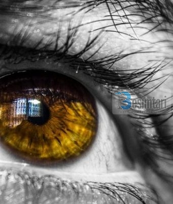 Trupi si trup vdesë, por shpirti kurrë nuk vdesë