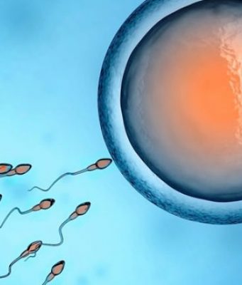 Kuriozitete interesante rreth numrave