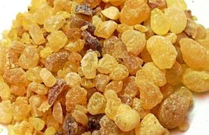 Temjani (Lubon/Kundur)