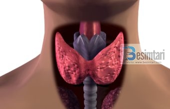 11 simptoma të cilat tregojnë që GJËNDRAT TIROIDE nuk punojnë si duhet dhe që ngadalë krijojnë rrezik për ju