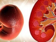 Kjo recetë është gjithçka që ju duhet për shëndetin e veshkave!