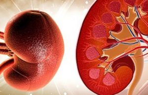 Si të evitoni sëmundjet e veshkëve?