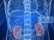 Pastroni veshkat në mënyrën më të thjeshtë