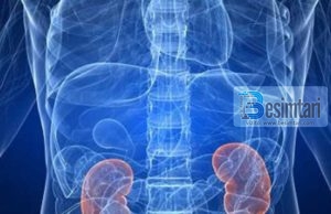 Pastroni veshkat në mënyrën më të thjeshtë