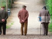 Çfarë presin të moshuarit tanë prej të rinjëve?