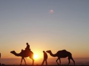 Devja e Salihut (Alejhi Selam) ! –