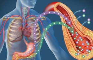 Diabeti “sulmon” sistemin kardiovaskular