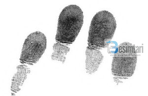 Çfar thotë Kur`ani për shenjat e gishtërinjve