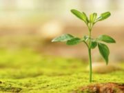 Cilat janë katër gjërat që e sjellin furnizimin