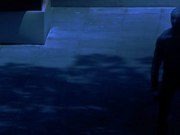 Pse xhinnët do të hakmerren në Ditën e Gjykimit ndaj njerzve?